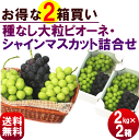 ぶどう【送料無料】山形県・北澤農園【種なし大粒ピオーネ&シャインマスカット詰合せ】2kg(3?4房)×2箱