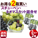ぶどう【送料無料】山形産【スチューベン&ネオマスカット詰合せ】2kg(各2〜4房)×2箱 秀品