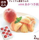 もも【送料無料】山形産 プレミアム農家さんの【あか