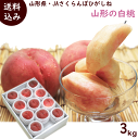 もも 送料無料 山形県 JAさくらんぼひがしね 光センサー選果 山形の白桃 秀品 3kg (9~12玉) 品種:お任せ