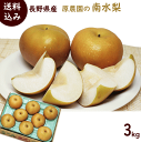 わなし【送料無料】長野県産【南水(和梨)】秀品3kg(約8玉)