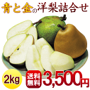ようなし【送料無料】山形産【青と金の洋梨詰合せ】2
