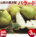 ようなし【送料無料】山形産西洋梨 【バラード】 3kg(8〜...
