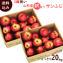 りんご 訳あり 10kg 送料無料 【 まとめ買いでお得★ りんご サンふじ 10kg×2箱(玉数おまかせ)】 リンゴ サンふじ りんご 訳あり 10kg 送料無料
