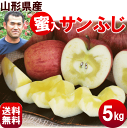 りんご【送料無料】山形県東根産【蜜入りサンふじ】5kg(14〜18玉)