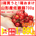 大人気7,000箱完売 山形産 さくらんぼ 正規品  700g 送料無料 M・L バラ詰 化粧箱入 露地栽培 発送：6月下旬〜7月中旬　山形ふるさと食品館