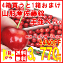 【送料無料】 山形 さくらんぼ 手並べ 【佐藤錦】 1kg Lサイズ 贈答用 化粧箱・露地栽培 発送:6月下旬?7月中旬 山形ふるさと食品館