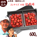 さくらんぼ【送料無料】山形県さくらんぼ・軽部名人の【2L・大粒 紅秀峰】600g(300g×2パック)バラ詰 特秀 べにしゅうほう 特秀 大粒 露地栽培 さくらんぼ 紅秀峰