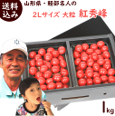 お中元 ギフト さくらんぼ 紅秀峰 【送料無料】山形県さくらんぼ・軽部名人の【2L・大粒紅秀峰】1kg(500g×2パック) バラ詰 べにしゅうほう 秀・特秀品 紅秀峰 さくらんぼ 山形県