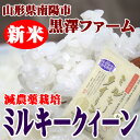 2009年度新米冷めても美味しい！お弁当派におすすめ【山形県南陽市：黒澤ファーム】ミルキークィーン2kg【楽ギフ_のし宛書】【楽ギフ_メッセ入力】