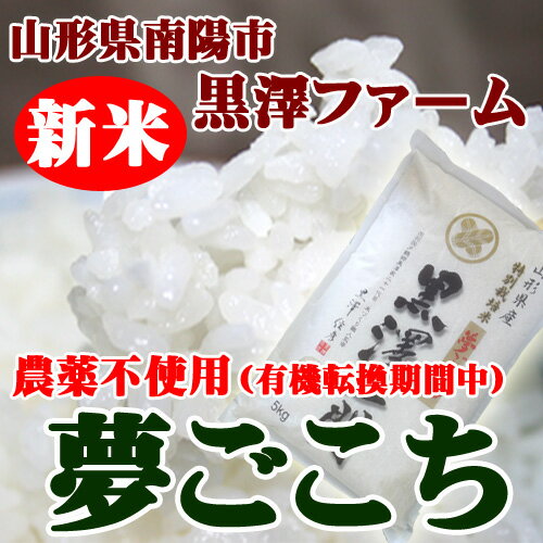 【山形県南陽市：黒澤ファーム】JAS有機米（農薬不使用）夢ごこち★5kg【マラソン1207P05】【RCPmara1207】