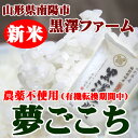 【山形県南陽市：黒澤ファーム】JAS有機米（農薬不使用）夢ごこち★5kg【マラソン1207P05】【RCPmara1207】