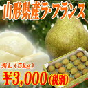 2014年山形県産ラフランス秀L(5キロ)【送料無