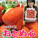 こどもの日、母の日に!山形県の新品種のいちご【おとめ心】大粒16粒入ギフト箱入【クール便】【spr05P05Apr13】