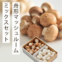 舟形マッシュルーム 山形県産 マッシュルームミックス バラ セット(ホワイト300g&ブラウン300g)【クール便】