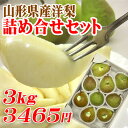 【山形県産洋梨】西洋梨3種類食べ比べセット3kg（10玉前後）【送料無料】