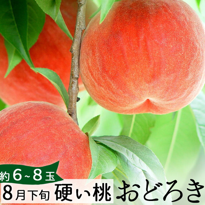 8月下旬お届け 桃 <strong>硬い桃</strong> おどろき 2.5kg（6-8玉） 山形県産 【生産者直送のためほかの商品と同梱不可】【送料無料】