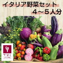 山形県かほくイタリア野菜ファミリーセット5〜6種類入り【送料...