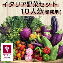山形県かほくイタリア野菜山盛りセット8〜10種類入り【送料無...