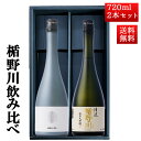 日本酒 楯野川 飲み比べ セット 純米大吟醸 無我ブラウン、清流 720ml 2本セット 化粧箱入 山形 地酒