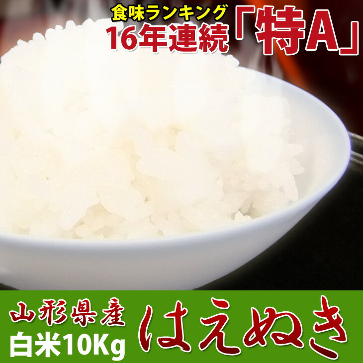 送料無料　23年産　　はえぬき10kg