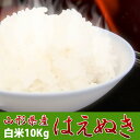 【新米29年産】 山形県産 はえぬき 10kg 送料無料 本...