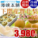 下関産朝獲れ豊北梨4Lサイズ大玉 2.5kg (6個入り) 山口県産 新水 幸水 豊水 二十世紀 あきづき 新高 送料無料 ナシ なし