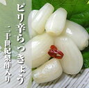 【送料無料】【鳥取県】【幸屋浅漬本舗】ピリ辛らっきょう 二十...