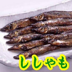 【大島食品】【学校給食】子持ししゃも甘露煮 40尾(10002252)