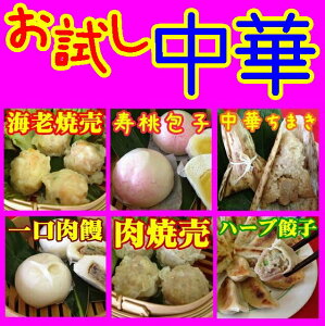 【送料無料】【山口県】【山陽小野田市】【中国料理 敦煌】【冷凍中華】【お試し中華パーティセット】選んで5袋