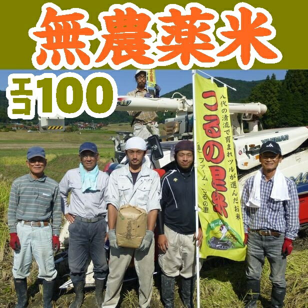 【山口県】【周南市八代】【生産者直詰】【エコ100認証米】【無農薬栽培】【冬期湛水米】【玄…...:yamaguchikaiseidou:10000224