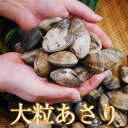【広島直送】広島瀬戸内産「大野あさり」【アサリ特大2kg】