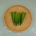 山口県産『おくら(オクラ)』【野菜詰め合わせセットと同梱で送料無料】
