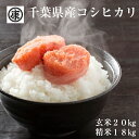 送料無料 あす楽【令和元年産新米 千葉県産コシヒカリ 一等米...