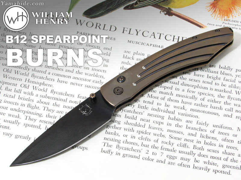 .ウィリアムヘンリー B12 スピアポイント バーンズ 折りたたみナイフ,William Henry B12 SPEARPOINT BURNS folding Knifeの画像