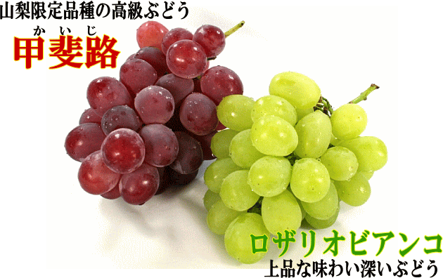 ī⤮ľآץåץΡڹϩꥪӥ󥳡֤Ф2ͤ碌2kgȢ4˼