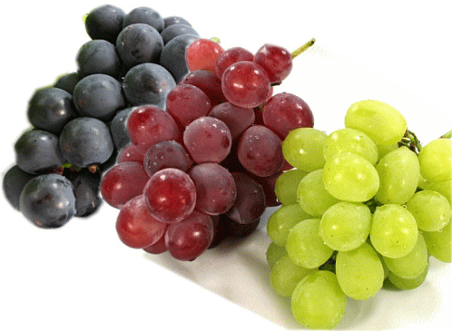 ī⤮ľآ3åȡڥԥ͡ꥪӥ󥳡ϩ--ץåץμ2kgȢ4˼