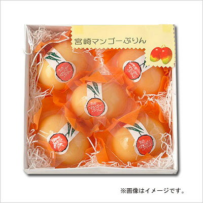 寿康庵のマンゴーぷりん(5個入)宮崎の豊かな自然に育まれたマンゴーをプリンにしました。丸くかわいいパッケージです。