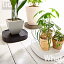 《全3色》tidy プランタブル 植木鉢トレー Plantable 【ティディ 鉢皿 デザイン雑貨 玄関 ガーデニング プランター バルコニー ベランダ オフィス テラモト】