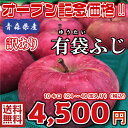 【常温便、送料無料】青森県産 有袋ふじ 訳あり 10Kg(...
