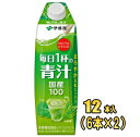伊藤園 毎日1杯の青汁 まろやか豆乳ミックス 1L紙パック×12本入(6本×2)