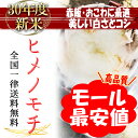 ポイント消化 もち米 900グラム 30年度新米ヒメノモチ ひめのもち 赤飯 おこわ 国産