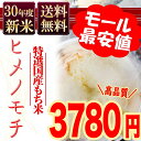 もち米 送料無料 30年産新米 ヒメノモチ 10kg(5kg×2) ひめのもち 安い 赤飯 おこわ 国