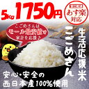 【最安値挑戦中!】お米 安い 5kg 送料無料 生活応援米 ...