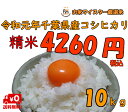新米30年千葉県産コシヒカリ 白米 10kg【送料無料※一部...