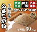 新米28年千葉ふさこがね玄米30kg【精米無料】【玄米30kg精米27kg】【送料無料※一部地域を除く】