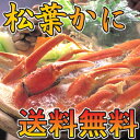 【送料無料★かにすきのだし付き】香住の活松葉かに(ズワイガニ...