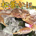 【送料無料★かにすきのだし付き】香住の活松葉かに(ズワイガニ...