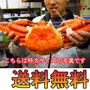 【送料無料★かに酢付き】香住の茹で松葉かに(ズワイガニ)特大...