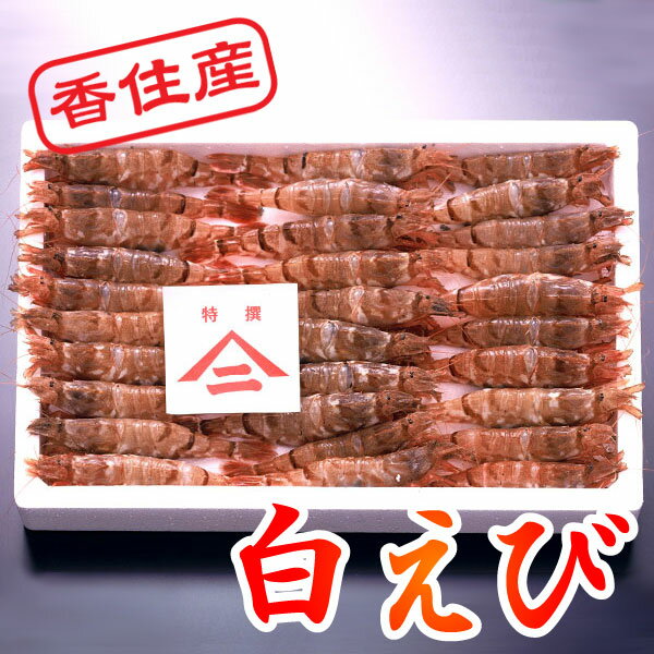 白えび の刺身は口の中でトロけるうまさ！香住の 白えび （しろえび）800g（特大サイズ）[冷凍][白エビ30匹前後]